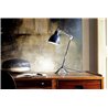 Design Lamp with Flexible Arm - Lampe Gras