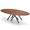 Ecliptic Dining Table - Forest