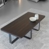 Modern Coffee Table - Twin