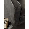 Upholstery Living Room Armchair - Rexina