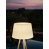 Floor Lamp with Wooden Base - Agata Wood