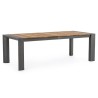 Extendable Table with Teak Top - Cameron