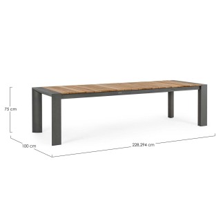 Extendable Table with Teak Top - Cameron