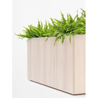 Office Planter - Standard | MDD