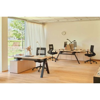 Executive Desk with Chest of Drawers - Viga | MDD