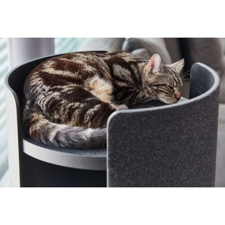 Scratching post for cat in wood and felt - Torre | Miacara