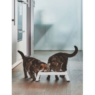 Double Bowl for cat and dog in aluminium - Desco | ISA