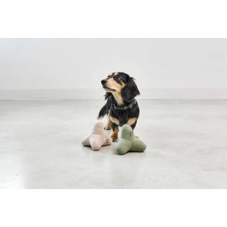 Toy for dog in fabric - Quattro | Miacara