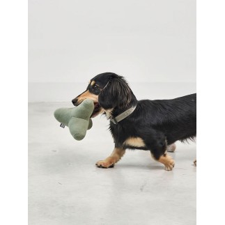 Toy for dog in fabric - Quattro | Miacara