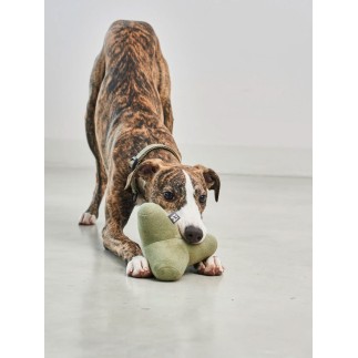 Toy for dog in fabric - Quattro | Miacara