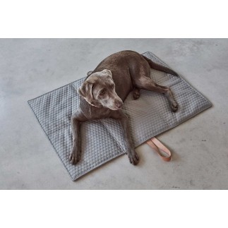 Dog Blanket for travel - Cosmo | MiaCara