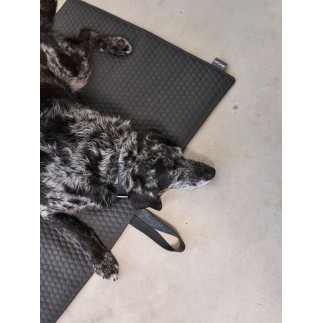 Dog Blanket for travel - Cosmo | MiaCara