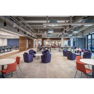 Acoustic Office Pendant Light - Birdcage | Luxx Box