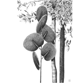 Pannello Fonoassorbente da Terra - Botanica Totem | Caimi