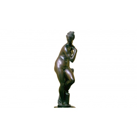 Statua in bronzo - Venere di Boboli
