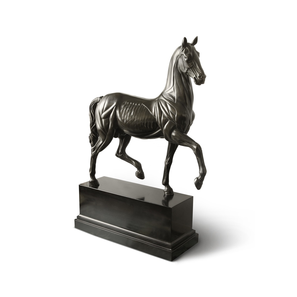 Statua in bronzo e marmo - Cavallo Anatomico