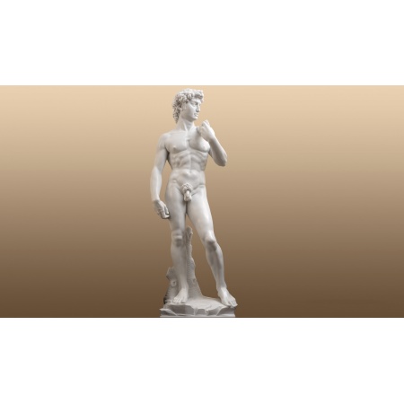 Statua in marmo bianco - David