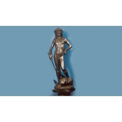 Statua in bronzo - David