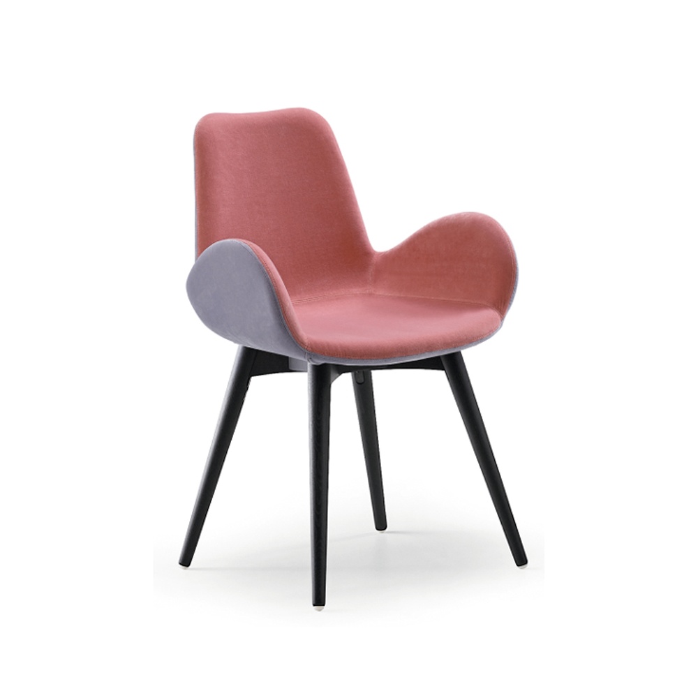 Padded chair with armrests and wood legs - Dalia PB-LG