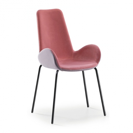Padded chair with painted steel legs - Dalia PA MT