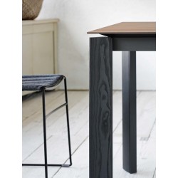Extendable table with wooden legs - Blade