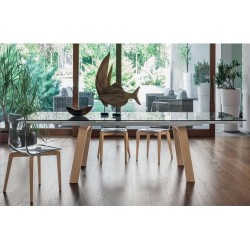 Sedia design legno e policarbonato - Berlino