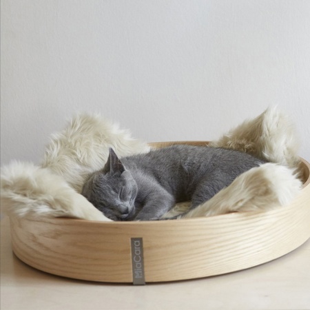 Anello cat bed in wood