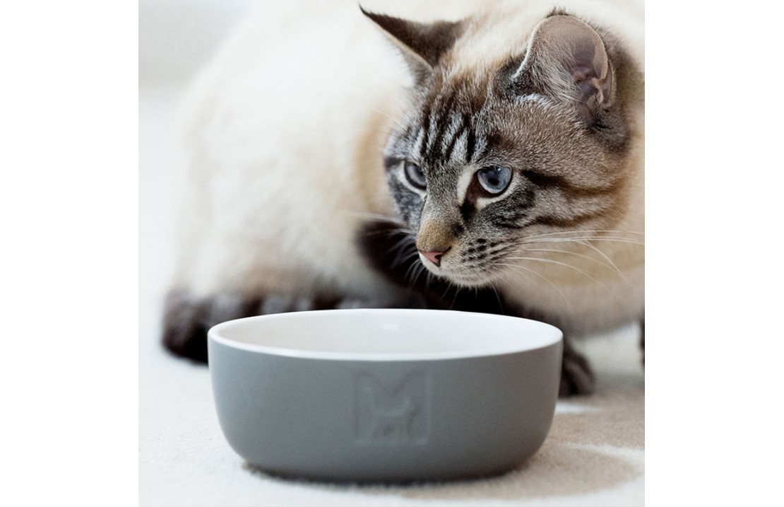 Tondo ceramic bowl for cat and dog