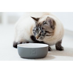 Tondo ciotola in ceramica per cane e gatto