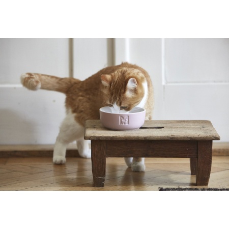 Tondo ciotola in ceramica per cane e gatto