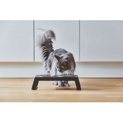 Double Bowl for cat and dog in aluminium - Desco