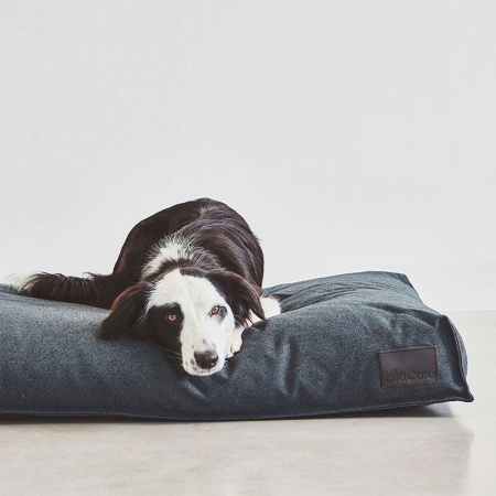 Scala cuscino cuccia per cane in tessuto