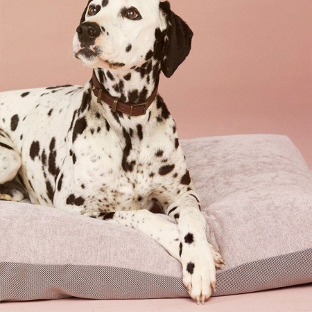 Cushion dog bed in velvet - Duo