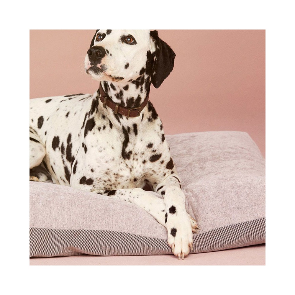 Cushion dog bed in velvet - Duo