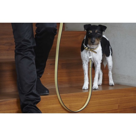 Dog leash in leather - Torino