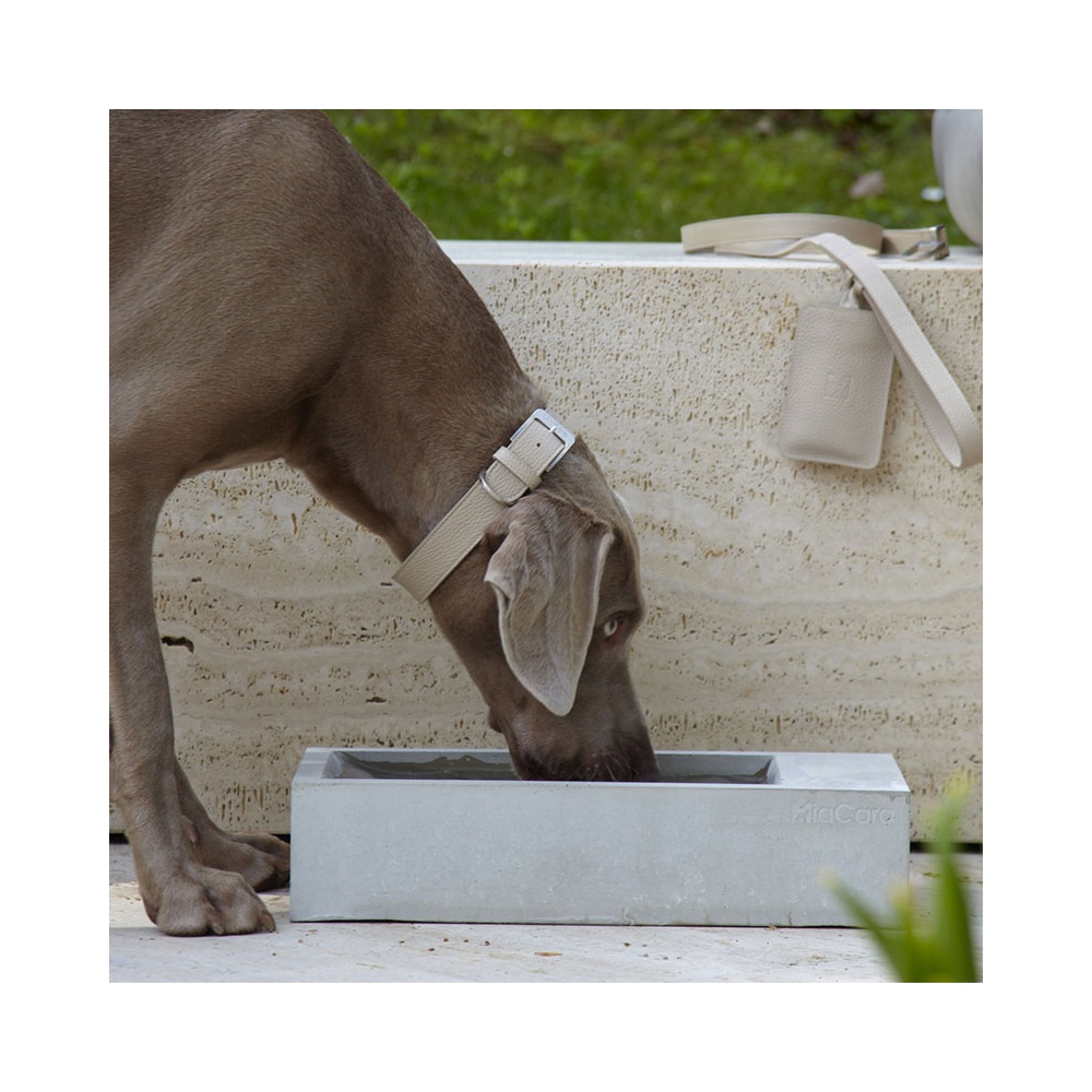 Concrete bowl for dog - Trogolo