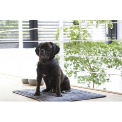 Dog and cat quilted blanket - Brava