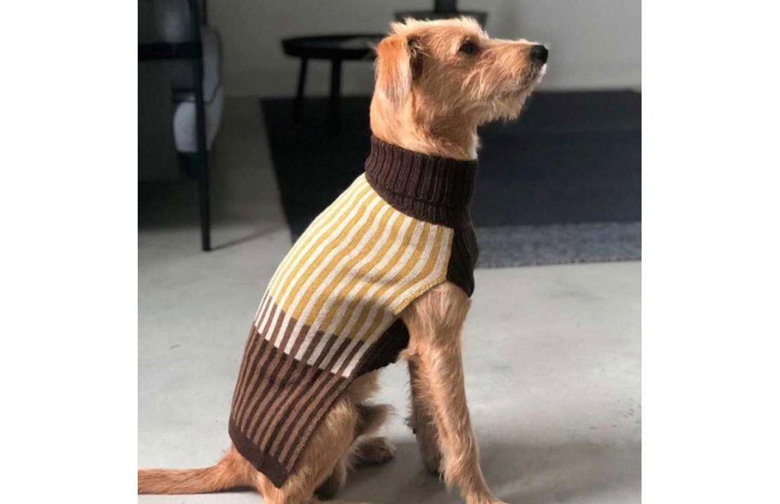Francesca maglione per cani in misto lana