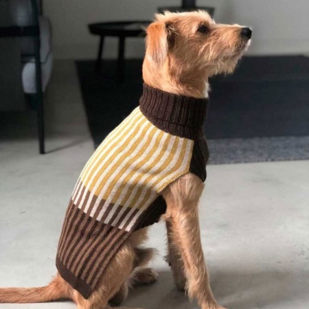 Francesca dog sweater in wood blend