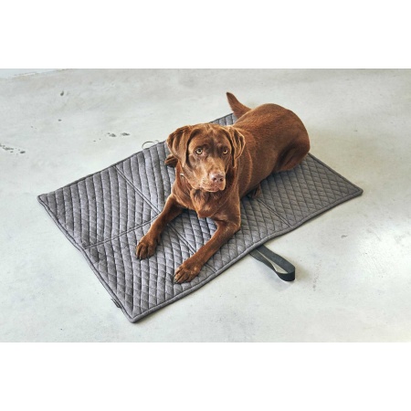 Dog Blanket for travel quilted - Cosmo
