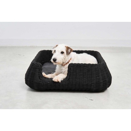 copy of Dog bed in wicker - Mio