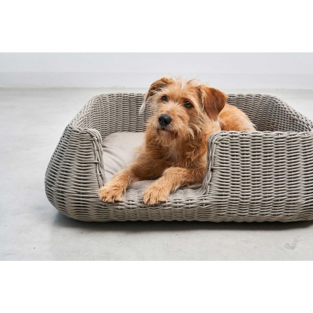 copy of Dog bed in wicker - Mio