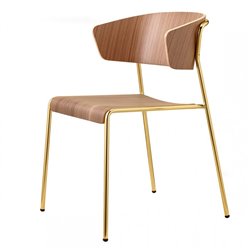 Wooden Chair with Armrests - Lisa