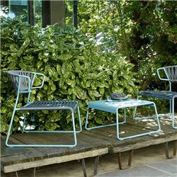 Low Garden Coffee Table - Lisa Lounge