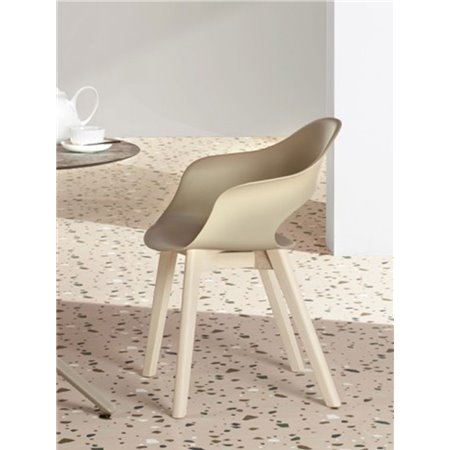 Wooden and Plastic Chair - Natural Lady B