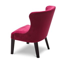Wood Design Lounge Armchair for Waiting Room - Agatha