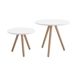 Low Table with Wooden Legs - Woody