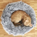 Cat Beds